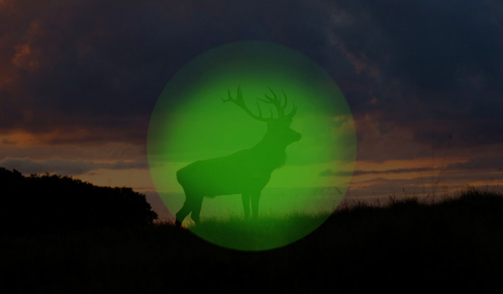 Der Hirsch Nachsichtgerät