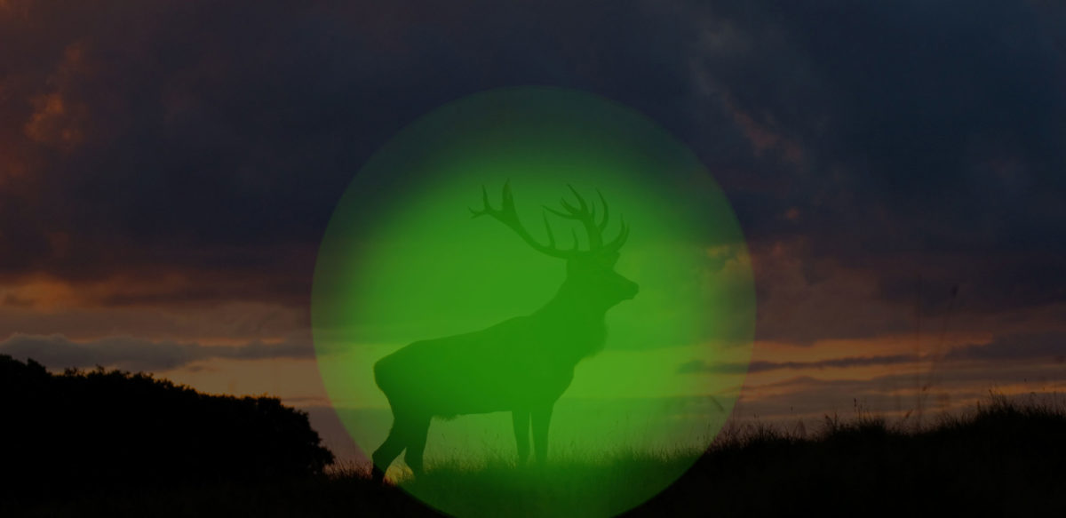 Wärmebildtechnik für die Jagd – Was sieht man mit einem Wärmebildgerät?