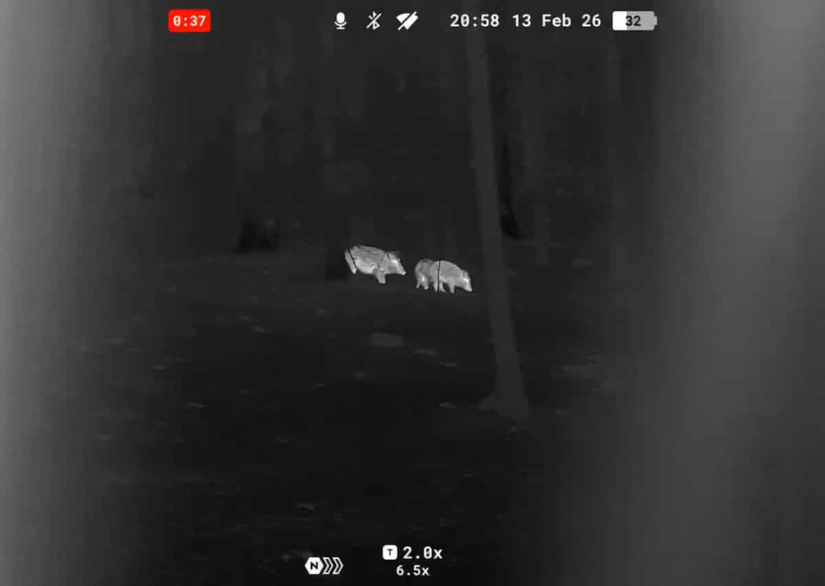 Aufnahme mit dem Pulsar Symbion im Wärmebildkanal