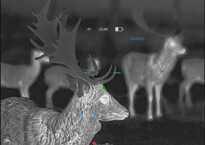ThermTec Hunt650Pro - Feinste Details sind sichtbar – Bilder sagen mehr als Worte…