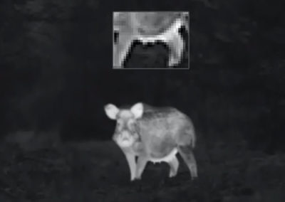 Zeiss DTI 3/25 - Bild in Bild Funktion (PiP))